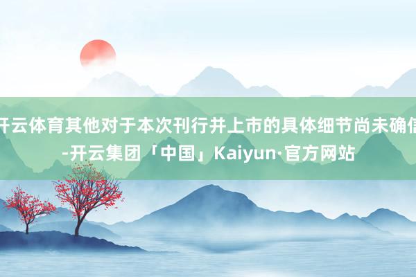 开云体育其他对于本次刊行并上市的具体细节尚未确信-开云集团「中国」Kaiyun·官方网站