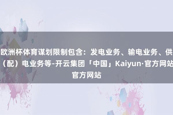 欧洲杯体育谋划限制包含：发电业务、输电业务、供（配）电业务等-开云集团「中国」Kaiyun·官方网站