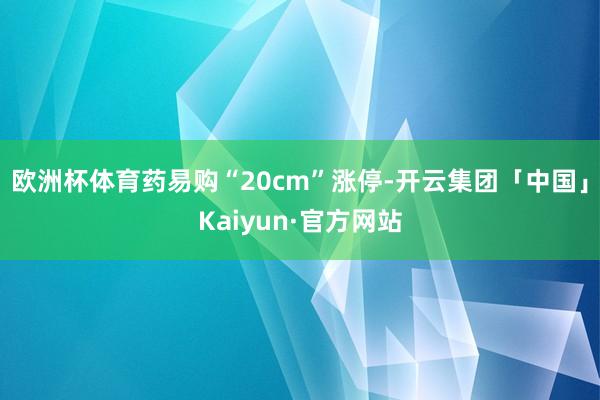 欧洲杯体育药易购“20cm”涨停-开云集团「中国」Kaiyun·官方网站