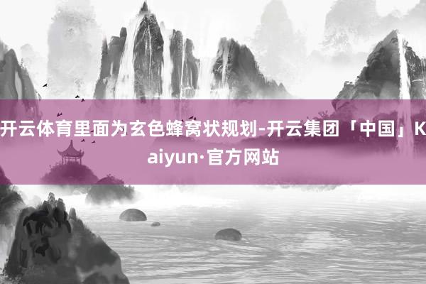 开云体育里面为玄色蜂窝状规划-开云集团「中国」Kaiyun·官方网站