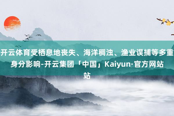 开云体育受栖息地丧失、海洋稠浊、渔业误捕等多重身分影响-开云集团「中国」Kaiyun·官方网站