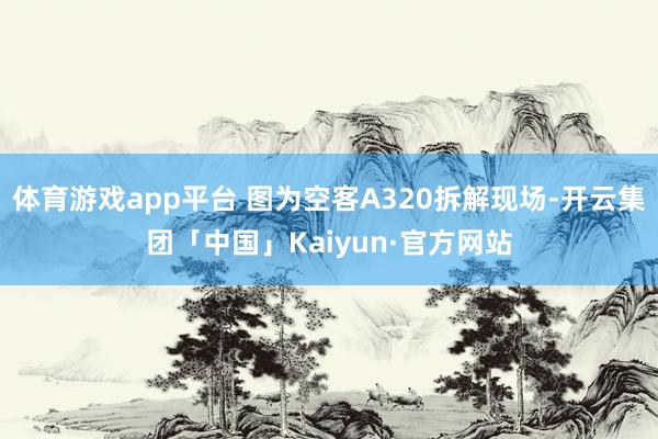 体育游戏app平台 图为空客A320拆解现场-开云集团「中国」Kaiyun·官方网站