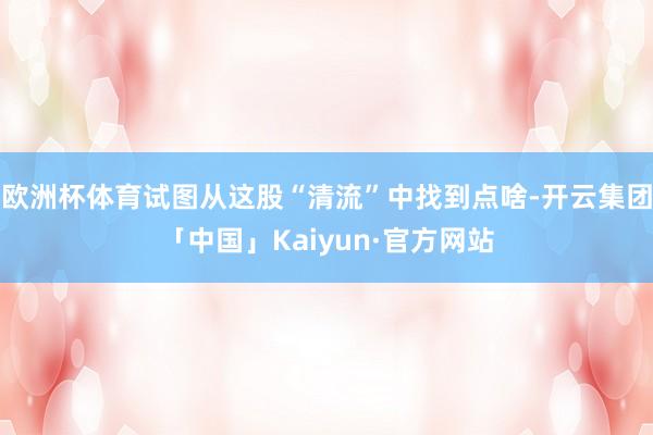 欧洲杯体育试图从这股“清流”中找到点啥-开云集团「中国」Kaiyun·官方网站
