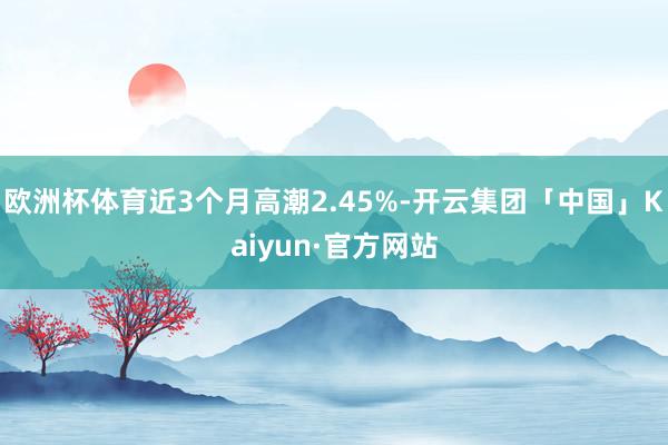 欧洲杯体育近3个月高潮2.45%-开云集团「中国」Kaiyun·官方网站