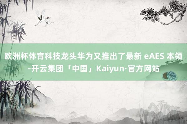 欧洲杯体育科技龙头华为又推出了最新 eAES 本领-开云集团「中国」Kaiyun·官方网站