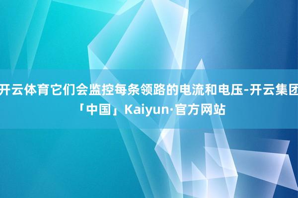 开云体育它们会监控每条领路的电流和电压-开云集团「中国」Kaiyun·官方网站