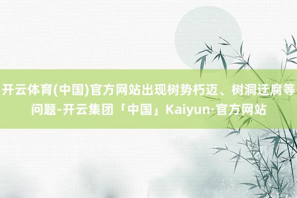 开云体育(中国)官方网站出现树势朽迈、树洞迂腐等问题-开云集团「中国」Kaiyun·官方网站