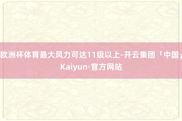 欧洲杯体育最大风力可达11级以上-开云集团「中国」Kaiyun·官方网站