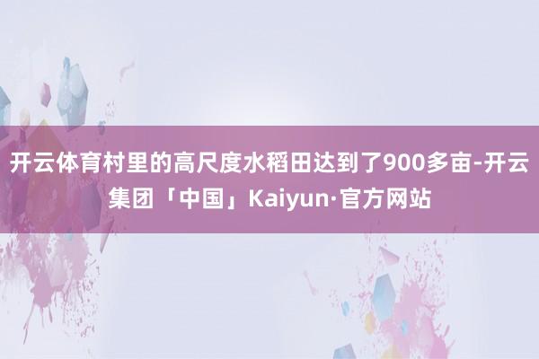 开云体育村里的高尺度水稻田达到了900多亩-开云集团「中国」Kaiyun·官方网站