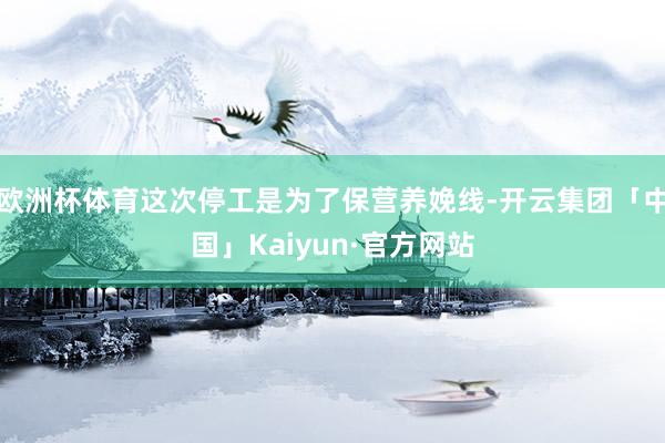 欧洲杯体育这次停工是为了保营养娩线-开云集团「中国」Kaiyun·官方网站