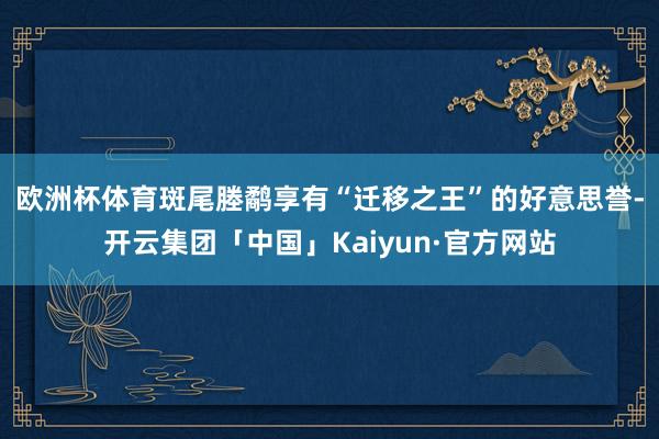 欧洲杯体育　　斑尾塍鹬享有“迁移之王”的好意思誉-开云集团「中国」Kaiyun·官方网站