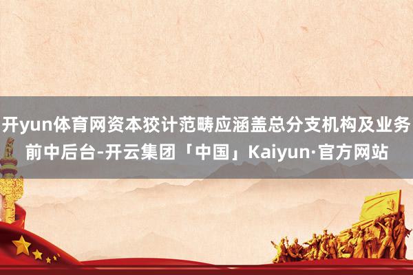 开yun体育网资本狡计范畴应涵盖总分支机构及业务前中后台-开云集团「中国」Kaiyun·官方网站