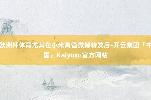 欧洲杯体育尤其在小米高管微博转发后-开云集团「中国」Kaiyun·官方网站