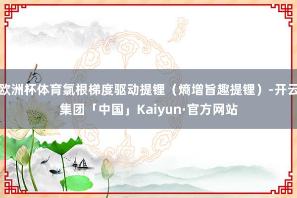 欧洲杯体育氯根梯度驱动提锂(熵增旨趣提锂)-开云集团「中国」Kaiyun·官方网站