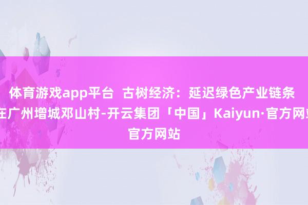 体育游戏app平台 古树经济:延迟绿色产业链条 在广州增城邓山村-开云集团「中国」Kaiyun·官方网站
