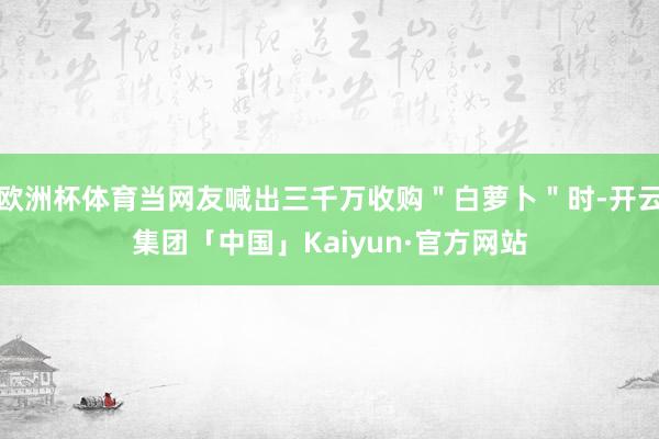 欧洲杯体育当网友喊出三千万收购＂白萝卜＂时-开云集团「中国」Kaiyun·官方网站