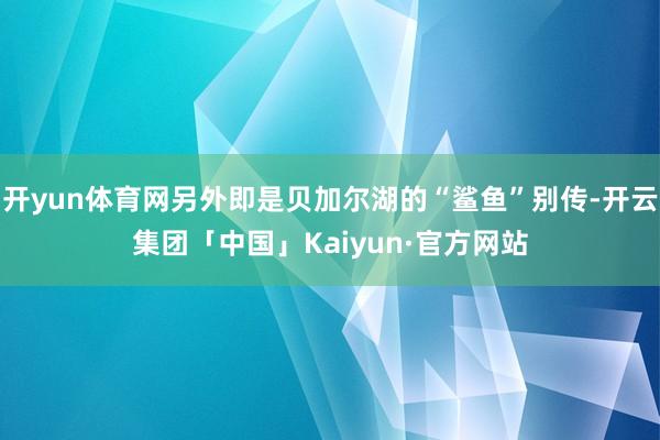 开yun体育网另外即是贝加尔湖的“鲨鱼”别传-开云集团「中国」Kaiyun·官方网站