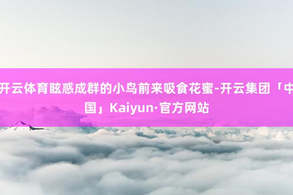 开云体育眩惑成群的小鸟前来吸食花蜜-开云集团「中国」Kaiyun·官方网站