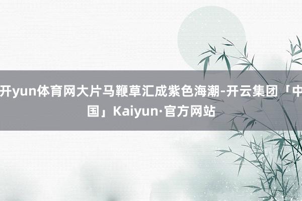 开yun体育网大片马鞭草汇成紫色海潮-开云集团「中国」Kaiyun·官方网站