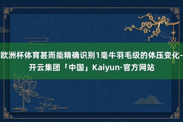 欧洲杯体育甚而能精确识别1毫牛羽毛级的体压变化-开云集团「中国」Kaiyun·官方网站