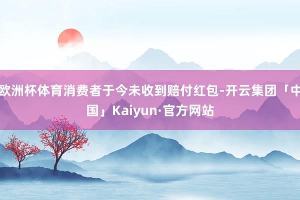 欧洲杯体育消费者于今未收到赔付红包-开云集团「中国」Kaiyun·官方网站