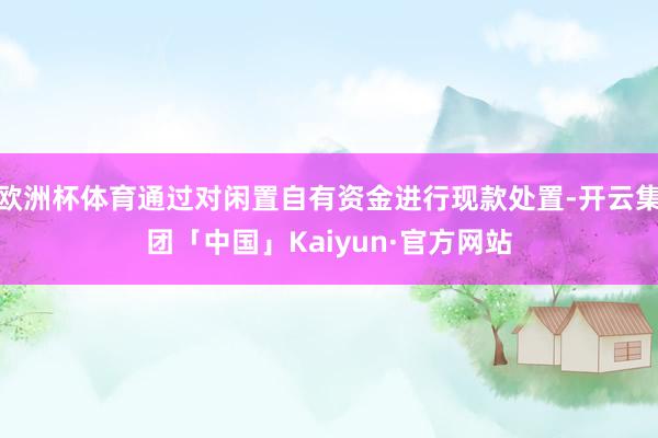 欧洲杯体育通过对闲置自有资金进行现款处置-开云集团「中国」Kaiyun·官方网站