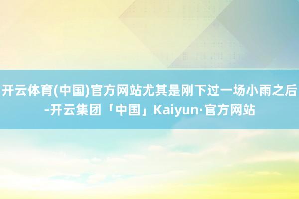 开云体育(中国)官方网站尤其是刚下过一场小雨之后-开云集团「中国」Kaiyun·官方网站