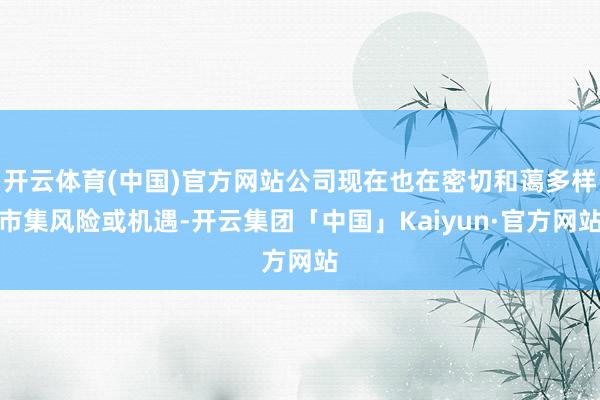 开云体育(中国)官方网站公司现在也在密切和蔼多样市集风险或机遇-开云集团「中国」Kaiyun·官方网站