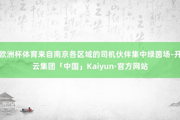 欧洲杯体育来自南京各区域的司机伙伴集中绿茵场-开云集团「中国」Kaiyun·官方网站