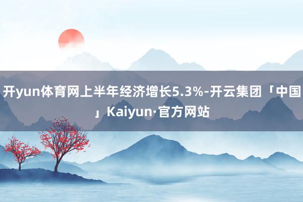 开yun体育网上半年经济增长5.3%-开云集团「中国」Kaiyun·官方网站