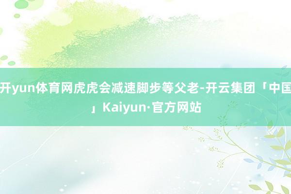 开yun体育网虎虎会减速脚步等父老-开云集团「中国」Kaiyun·官方网站