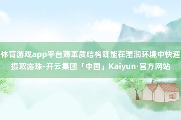 体育游戏app平台薄革质结构既能在湿润环境中快速摄取露珠-开云集团「中国」Kaiyun·官方网站