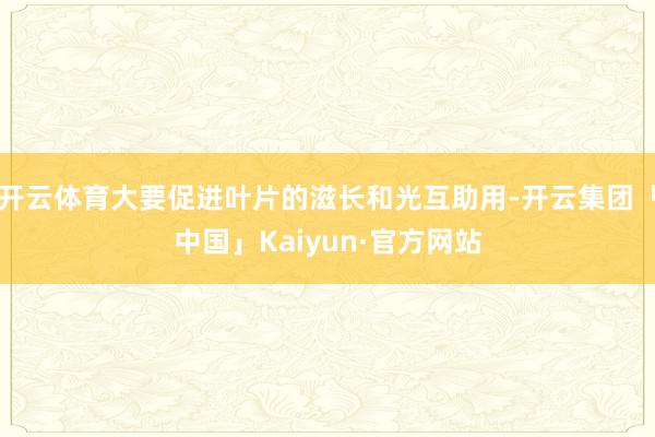 开云体育大要促进叶片的滋长和光互助用-开云集团「中国」Kaiyun·官方网站